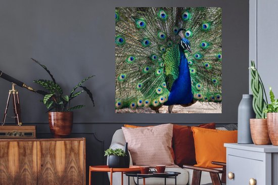 Stickers muraux - Plumes de paon - Vert - Blauw - 100x100 cm - Feuille adhésive XXL