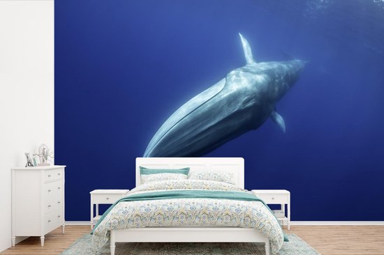 Papier peint photo peint photo vinyle - Baleine bleue sous la surface de l'eau largeur 330 cm x hauteur 220 cm - Tirage photo sur papier peint (disponible en 7 tailles)