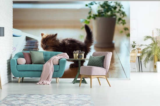 Papier peint photo peint photo vinyle - Chaton jouant avec un piano largeur 390 cm x hauteur 260 cm - Tirage photo sur papier peint (disponible en 7 tailles)