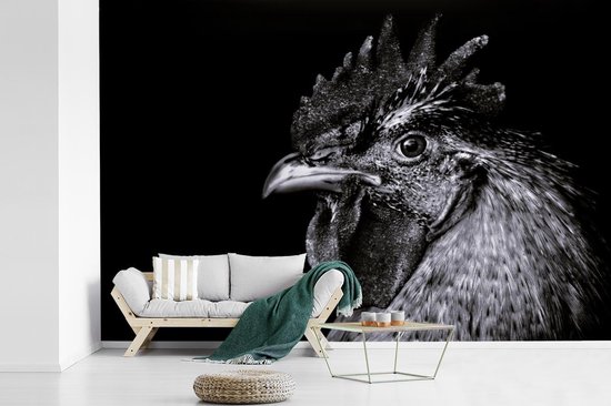Papier peint - Papier peint Papier peint photo Coq - Vogel - Zwart - Wit - Largeur 600 cm x hauteur 400 cm