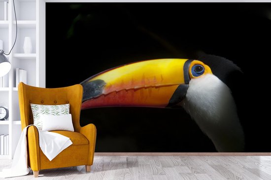 Papier peint Papier peint photo en vinyle - Toucan géant sur fond noir largeur 360 cm x hauteur 240 cm - Tirage photo sur papier peint (disponible en 7 tailles)