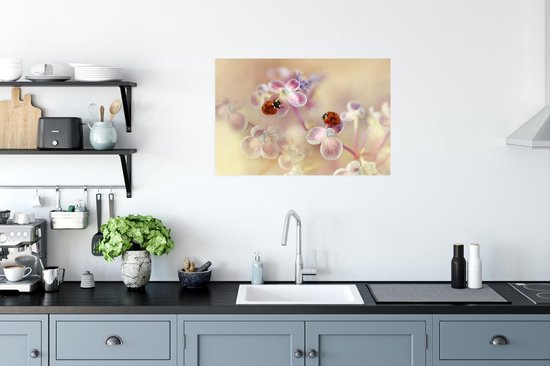 Affiche Deux coccinelles assises sur des fleurs d'hortensia - 60x40 cm