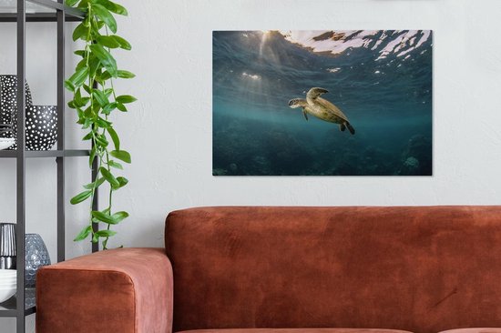 Tortue en eau claire sur toile 80x60 cm - Tirage photo sur toile (Décoration murale salon / chambre) / Peintures sur toile Animaux