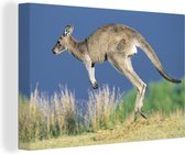 Canvas Schilderij Kangoeroe - Dier - Natuur - 60x40 cm - Wanddecoratie