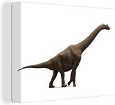 Canvas schilderij 160x120 cm - Wanddecoratie Dinosaurus - Wit - Groot - Muurdecoratie woonkamer - Slaapkamer decoratie - Kamer accessoires - Schilderijen