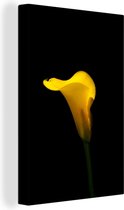 Fleur de Calla jaune sur fond noir Toile 60x90 cm - Tirage photo sur toile (Décoration murale salon / chambre)