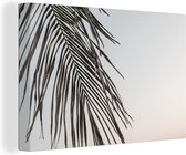 Canvas Schilderij Zomer - Palmboom - Blad - 60x40 cm - Wanddecoratie