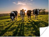 Zonsondergang achter vier Friese koeien Poster 40x30 cm - klein - Foto print op Poster (wanddecoratie woonkamer / slaapkamer) / Boerderijdieren Poster