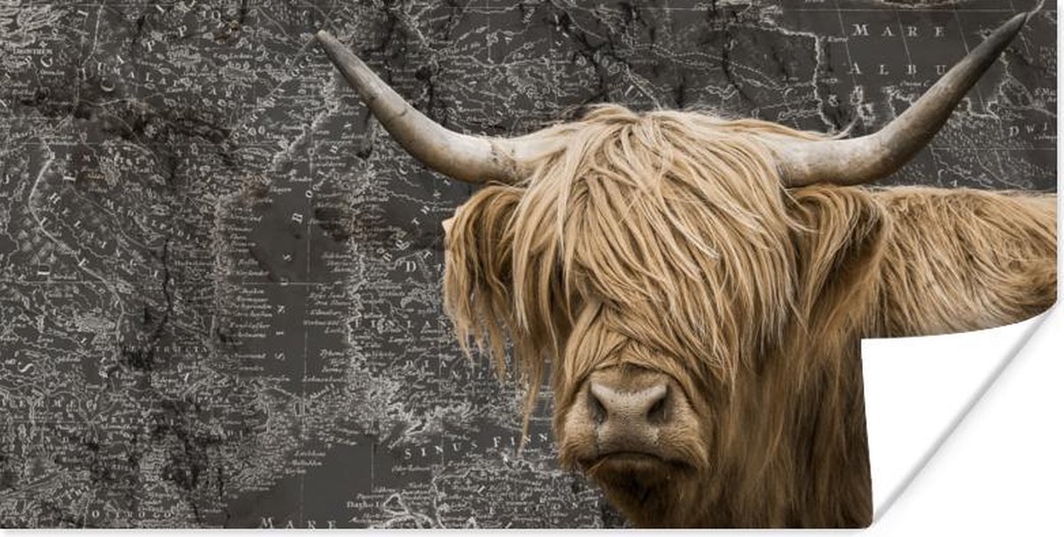 Muurdecoratie - Schotse hooglander - Wereldkaart - Dieren - 80x40 cm - Poster
