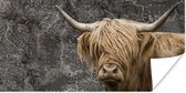 Muurdecoratie - Schotse hooglander - Wereldkaart - Dieren - 80x40 cm - Poster
