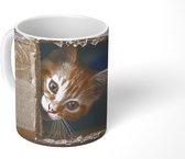 Mok - Koffiemok - Kitten - Doos - Spelen - Mokken - 350 ML - Beker - Koffiemokken - Theemok