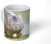 Mok - Een wombat speelt op een weide - 350 ML - Beker