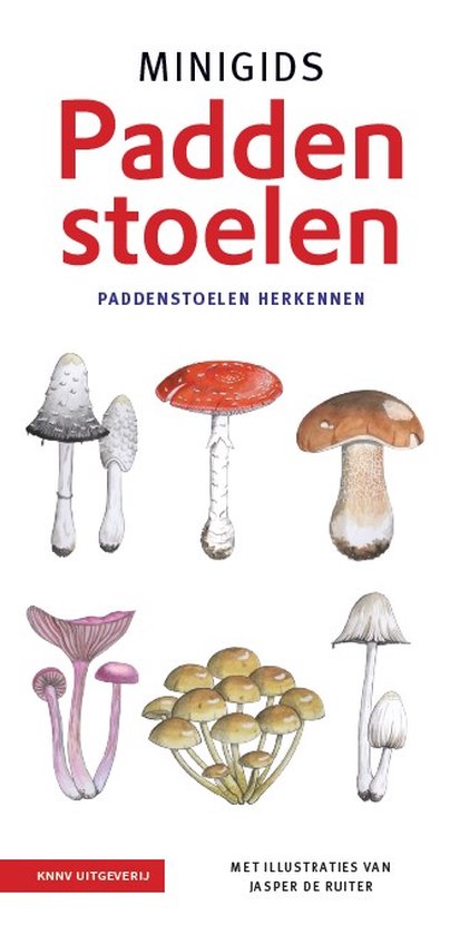 Minigids - Minigids Paddenstoelen set