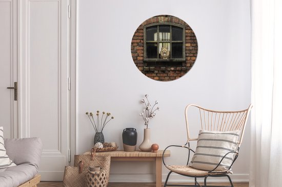 WallCircle - Tableau - Cat Window Box Stone Round Peintures - Multicolore - 60 X 60 Cm
