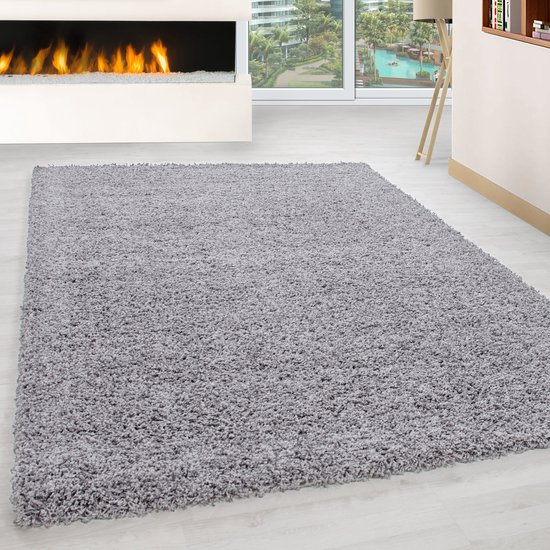 Tapis gris clair à poils longs - 200x290cm - Moderne - Salon - Salon -  Chambre - Salle... | bol