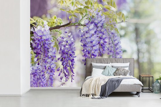 Behang - Fotobehang Blauwe regen in bloei - Breedte 420 cm x hoogte 280 cm