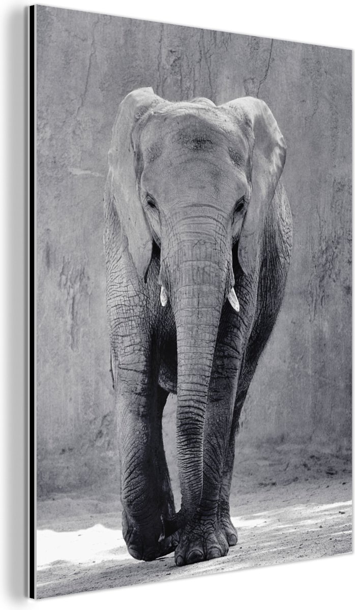 Aluminium schilderij 60x80 cm - Wanddecoratie metaal - Olifant zwart-wit gecentreerd - Met