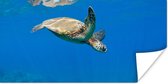 Poster Schildpad zwemmend in oceaan - 160x80 cm