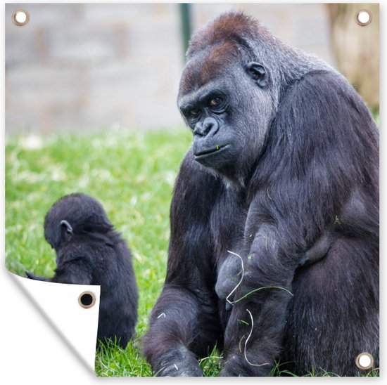 Tuindoek Een grote Gorilla met zijn baby - 100x100 cm