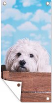 Tuinposter Maltezer hond in een houten doos - 40x80 cm - Wanddecoratie Buiten - Tuinposter - Tuindoek - Schuttingposter - Tuinschilderij