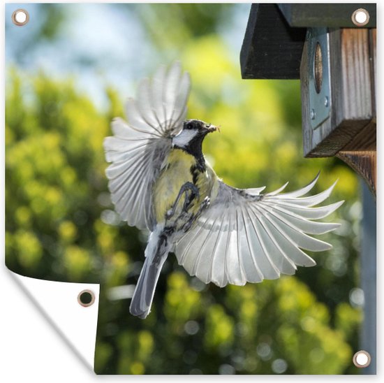 Tuindoek Een Koolmees Vliegt Een Vogelhuisje In 100x100 Cm Bol tuindoek-een-koolmees-vliegt-een-vogelhuisje-in-100x100-cm-bol