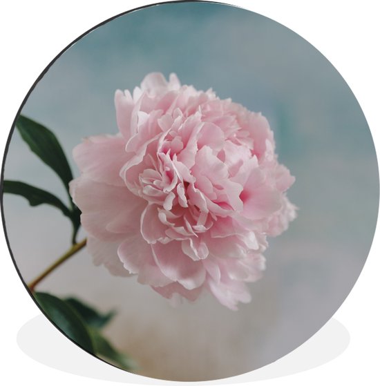 WallCircle - Cercle mural - Cercle mural - Pivoine rose sur fond gris - Aluminium - Dibond - 120x120 cm - Intérieur et Extérieur XXL