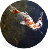 WallCircle - Wandcirkel ⌀ 60 - Twee koi karpers in het water - Ronde schilderijen woonkamer - Wandbord rond - Muurdecoratie cirkel - Kamer decoratie binnen - Wanddecoratie muurcirkel - Woonaccessoires