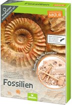 Moses Uithakset Expedition Natur Fossielen Junior 12-delig
