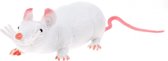 rat Animal World 30 cm wit