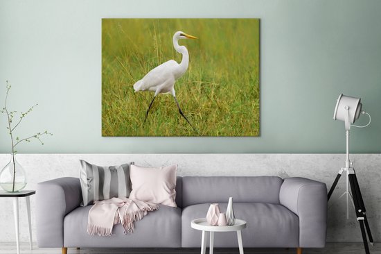 Tableau sur toile Grande aigrette marchant dans une pelouse - 120x90 cm - Décoration murale
