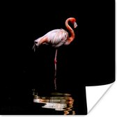 Poster Twee flamingo's staan in het water - 100x100 cm XXL