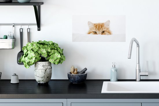 Affiche Chat - Rouge - Wit - Filles - Enfants - Garçons - Enfant - 40x20 cm