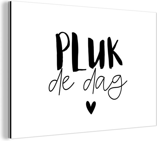 Wanddecoratie Metaal - Aluminium Schilderij Industrieel - Quotes - Carpe diem - Spreuken - Pluk de dag - 30x20 cm - Dibond - Foto op aluminium - Industriële muurdecoratie - Voor de woonkamer/slaapkamer