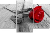 Trend24 - Peinture sur toile - Rose rouge - Triptyque - Fleurs - 120x80x2 cm - Rouge