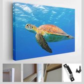Zeeschildpad onderwater zwemmen in de blauwe zee. Levendige blauwe oceaan met schildpad. Duiken met wildwaterdier - Modern Art Canvas - Horizontaal - 1099659629