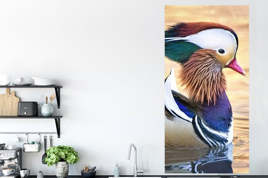 Affiche Canard - Water - Animal - 80x160 cm