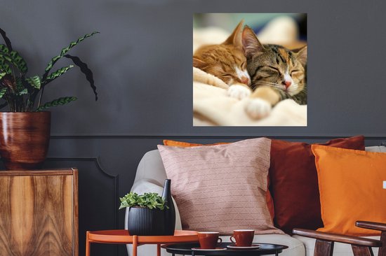 Poster Chats - Dormir - Tapis - 50x50 cm