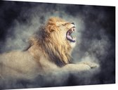 Grommende Leeuw in rook - Foto op Dibond - 90 x 60 cm
