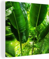 Canvas Schilderij Tropische bladeren in jungle fotoprint - 50x50 cm - Wanddecoratie