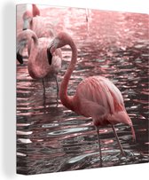 Canvas Schilderij Een groep flamingo's staat in het water - 50x50 cm - Wanddecoratie