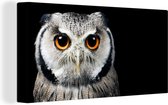 Canvas Schilderij Close-up uil - 80x40 cm - Wanddecoratie
