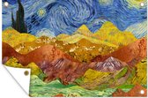 Tuinposter - Tuindoek - Tuinposters buiten - Van Gogh - Oude Meesters - Schilderij - 120x80 cm - Tuin