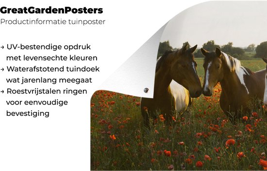 Affiche de clôture Paarden - Fleurs - Soleil - 200x100 cm - Toile de jardin