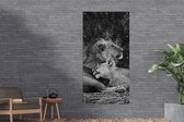 Wanddecoratie buiten Leeuwen - Zwart - Wilde dieren - 80x160 cm - Tuindoek - Buitenposter