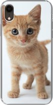 Geschikt voor iPhone XR hoesje - Kat - Rood - Kitten - Meisjes - Kinderen - Jongens - Kindje - Siliconen Telefoonhoesje