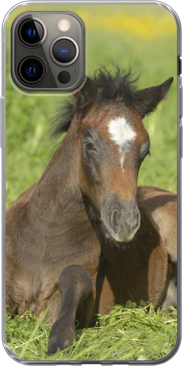 iPhone 13 Pro hoesje - Paarden - Licht - Gras - Siliconen Telefoonhoesje - SleevesAndCases