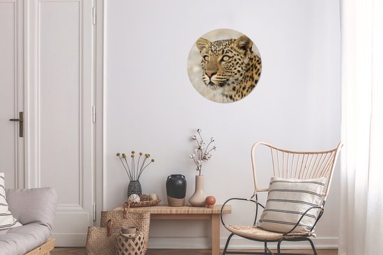 WallCircle - Wall Circle - Wall Circle Indoor - Léopard - Macro - Marron - 30x30 cm - Décoration murale - Peintures Ronds