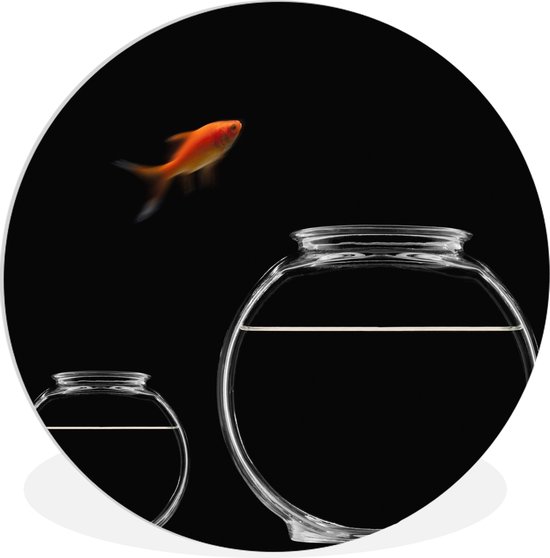 Le poisson rouge saute de l'aquarium sur un fond noir Assiette en