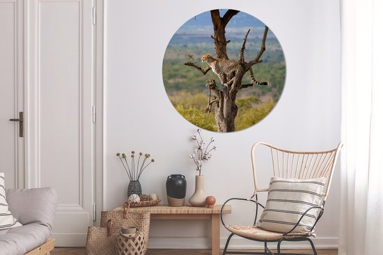 WallCircle - Wall Circle - Wall Circle Indoor - Léopard - Arbre - Animal - 140x140 cm - Décoration murale - Peintures Ronds