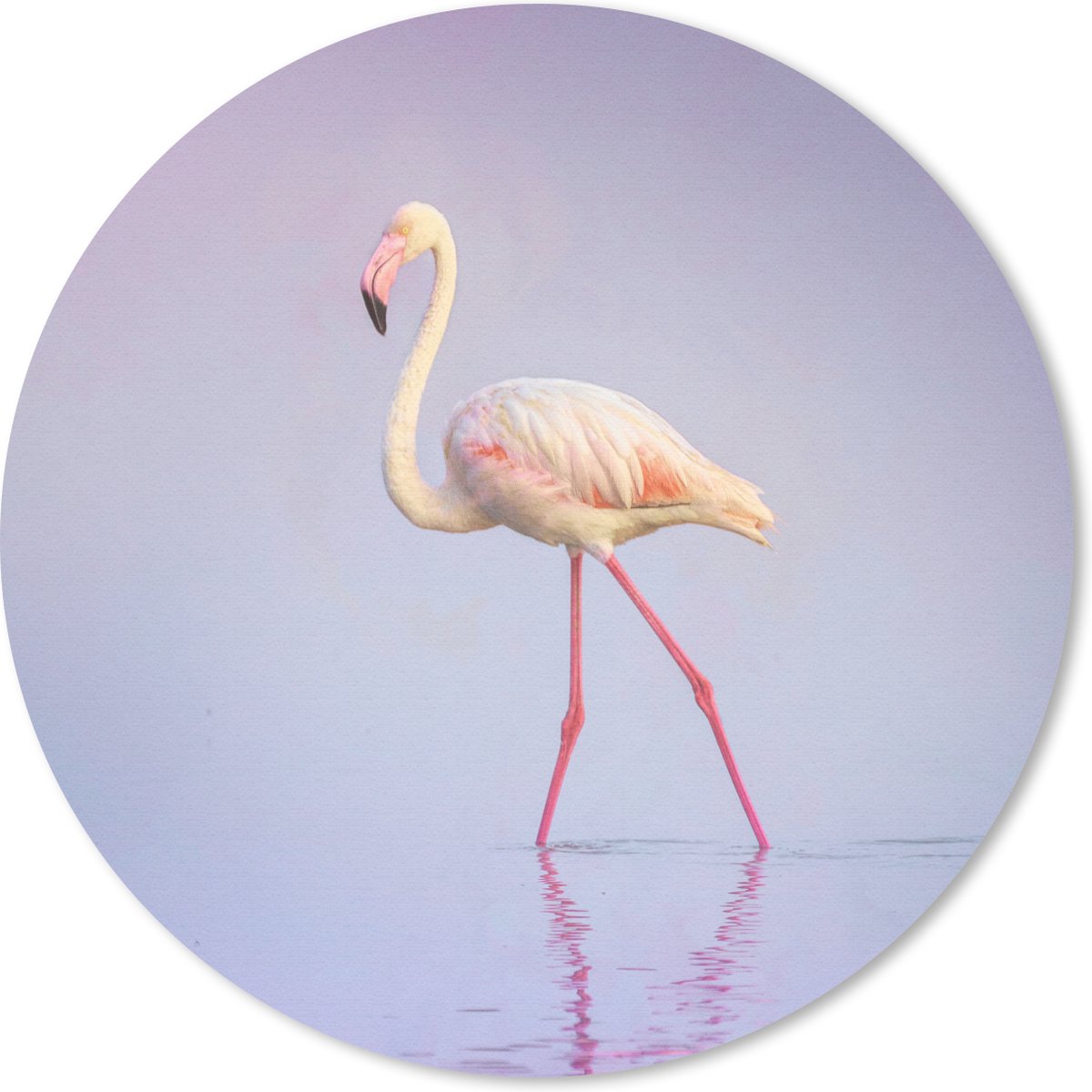 Muismat rond 50x50 cm - Mousepad Flamingo - Water - Roze - Ronde muismatten
